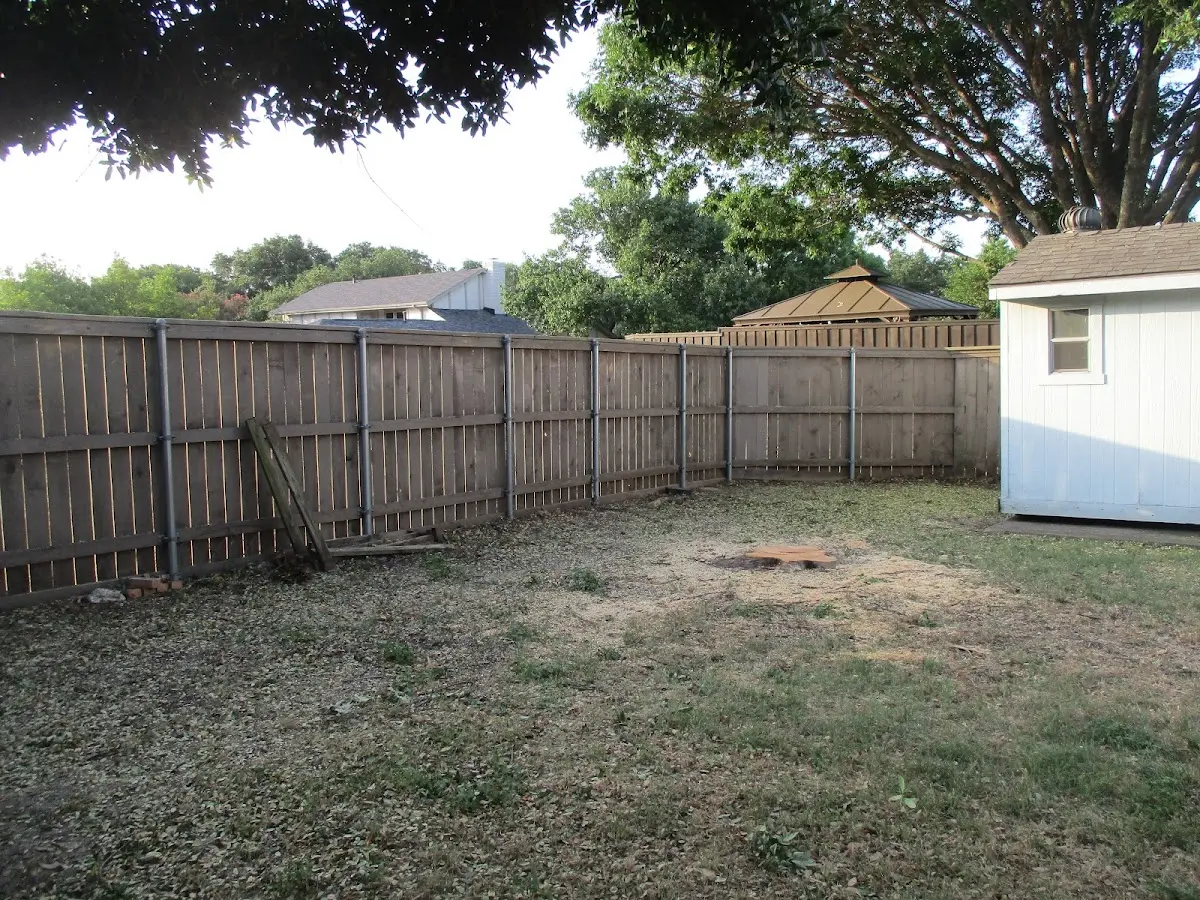 Cleared yard after professional tree removal in Fox River Grove